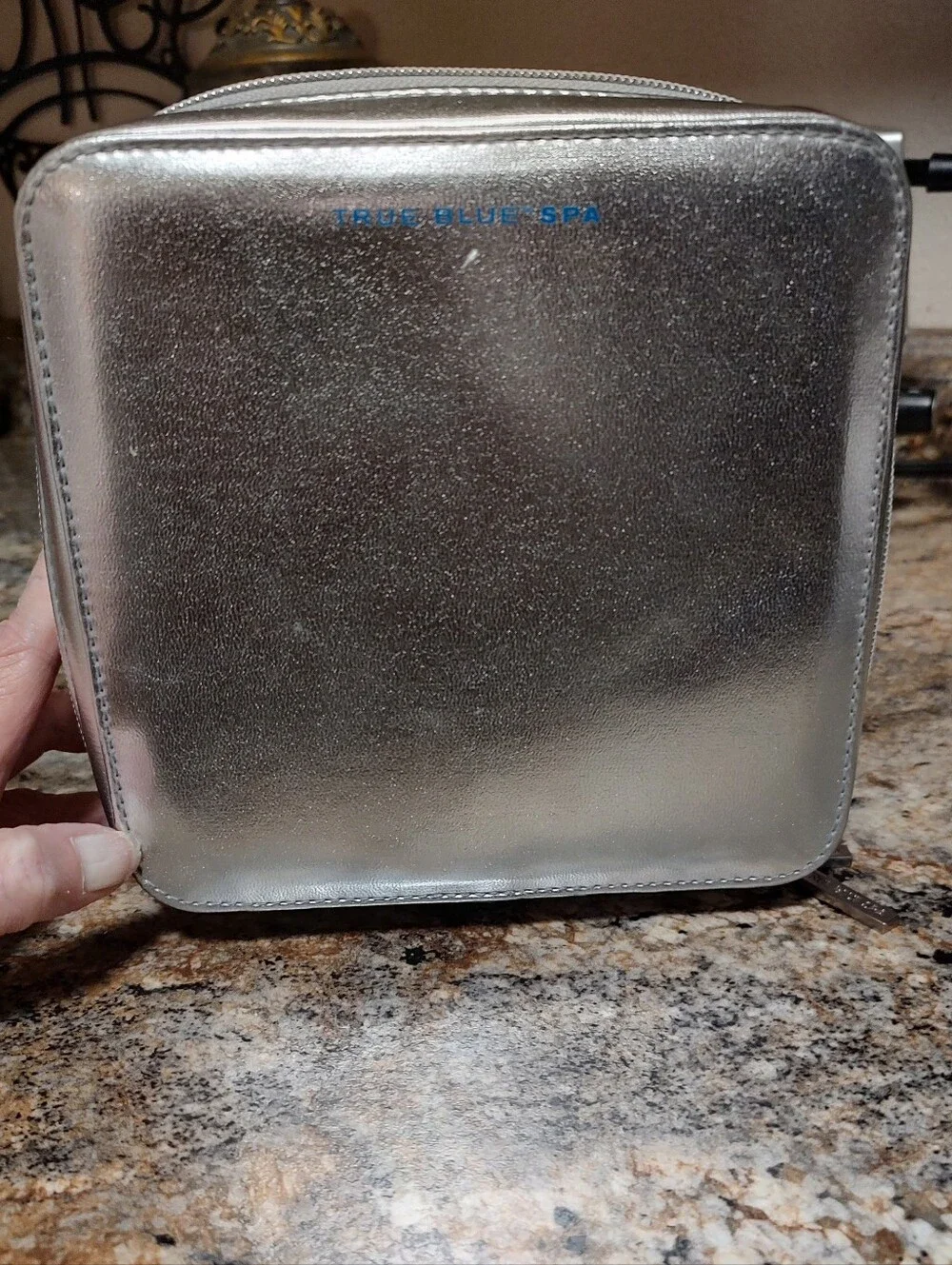 Metallic Silver Cosmetic Case